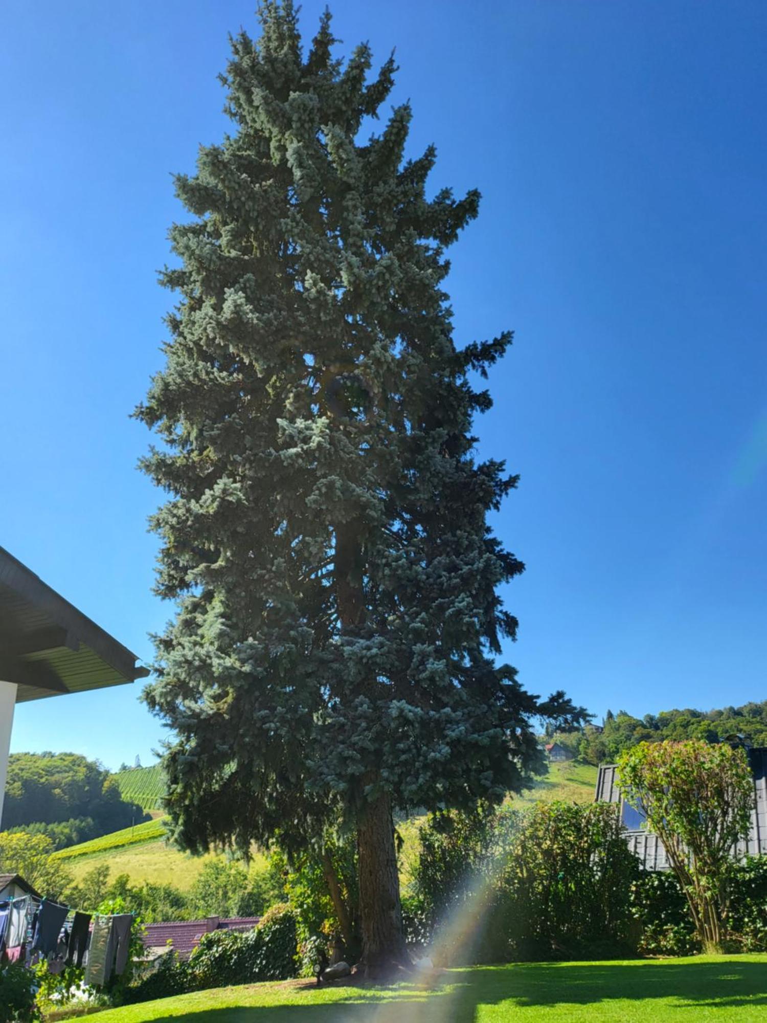 Ferienhaus Zangl Am Seggauberg - Suedsteiermark Leibnitz Exterior photo